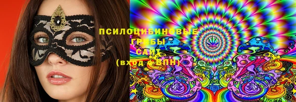 винт Алексин