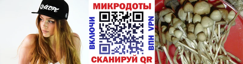 Псилоцибиновые грибы MAGIC MUSHROOMS  Тосно 